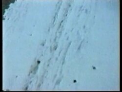 Wreckage of plane which crashed killing five passengers and pilot News Clip