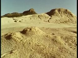 MS tilt down from desert landscape to  rattlesnake slithering over sand, USA Stock Footage