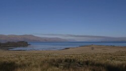 Scottish tea brewing a sales success in China News Clip