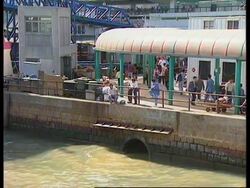 HONG KONG: POLLUTION IN HARBOUR News Clip