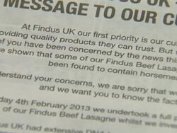 Findus Newspaper Adverts News Clip