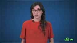 Springs, Bows, and Gears: Amazing Animal Jumpers Instructional Video