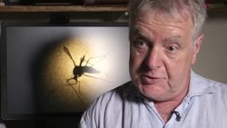 A do and don't list for Olympic athletes and visitors News Clip