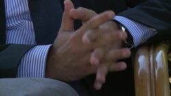 CLEAN : Cyprus peace deal possible within months: negotiator News Clip