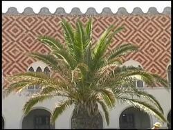 Tropical Palm Tree in Front of Tiled Wall Stock Footage
