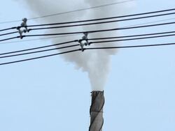 Air pollution Stock Footage