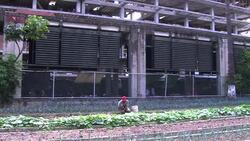 CLEAN: Venezuela turns to urban farms to meet food needs News Clip