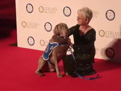 Jacqueline Wilson at Collars and Coats Gala Ball Stock Footage