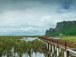 Time Lapse: Wood bridge in Khoa Sam Roi Yod Stock Footage