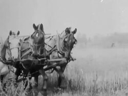 Farming Stock Footage