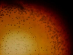 8mm Film Damage (HD 1080) Stock Footage