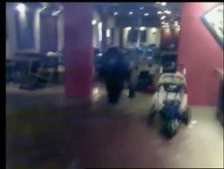 WRAP Gorilla escaped from enclosure, cell phone video News Clip