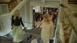 Charming canines attend posh Christmas ball News Clip