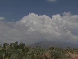 T/L clouds above cacti. Desert rain clouds over desert, Sonoran desert, Arizona, USA Stock Footage