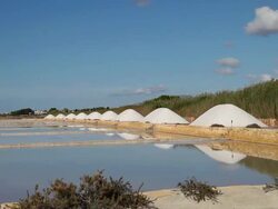 Mozia (Motya), pools of the salt Stock Footage