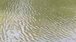 HD: Water fall swaying in wind Stock Footage