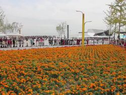 WS View of people waiting in line in 2011 International Horticultural Exposition/xian,shaanxi,China Stock Footage