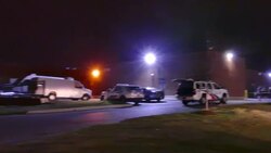 Police dog unit investigating at night with flashlight Stock Footage