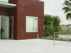 WS three business people led by woman leaving modern office building Stock Footage