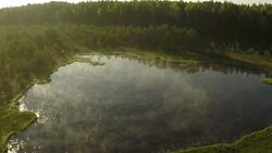 Marsh and lake Stock Footage