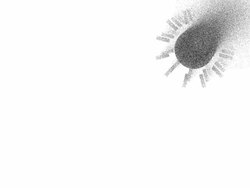 SUNS : black, focus (TRANSITION) Stock Footage