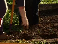 HD: Raking The Soil Stock Footage