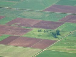 MS AERIAL Shot of plantations / Peloponnese, Greece Stock Footage
