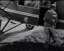 A DOG'S LIFE News Clip