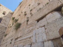 MS TD Jewish practitioners praying at Wailing Wall / Jerusalem, Israel Stock Footage