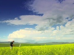 Farmer in Canola Field Stock Footage