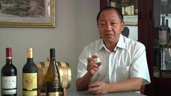 Foreign wine producers turn China's mountains into a new 'domaine' Instructional Video