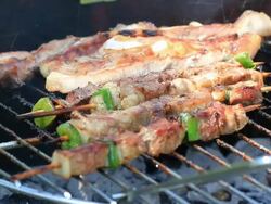 Pork sticks in Barbecue HD Stock Footage