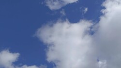 Football Star Stock Footage