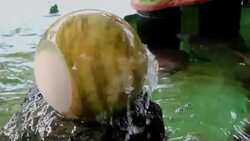 Rock Feng Shui Stock Footage