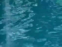 Sparkling Blue Pool Stock Footage