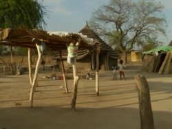 Archival Footage South Sudan - December 2010 Stock Footage