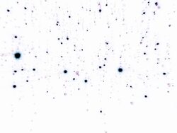 Glitter Falling Background Loop Stock Footage