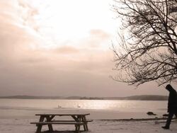 Winter On The Beach Stock Footage