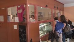 Cat-cafes - the purrfect way to relax News Clip