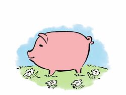 Spring savings. Stock Footage