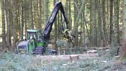 A forwarder, a specialist logging machine cutting down timber in Grizedale Forest, Lake District, Cumbria, UK. Stock Footage