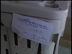 The owner of a Louisiana crab business says his product is safe and his nets are ready to go back in the water, but the area remains closed to fishing. News Clip