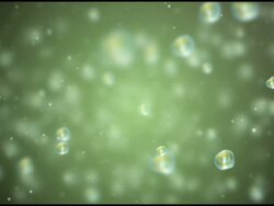 bio particles Stock Footage
