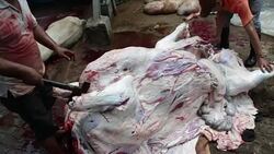 Muslims Celebrate Eid Al-Adha In Indonesia Stock Footage