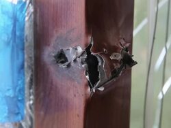 War Devastation in Eastern Ukraine - Semyonovka - interview Stock Footage