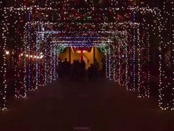 Tunnel of Christmas lights in New Orleans Stock Footage