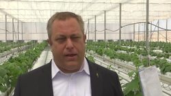 New project uses saltwater to grow crops News Clip
