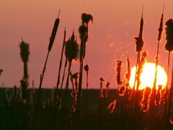Sunset near the Water / Sonnenuntergang am Wasser Stock Footage