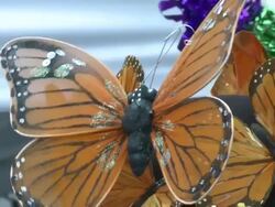 Celebrations fill the streets during Mardi Gras Stock Footage