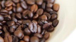 Coffee Beans Macro. Stock Footage